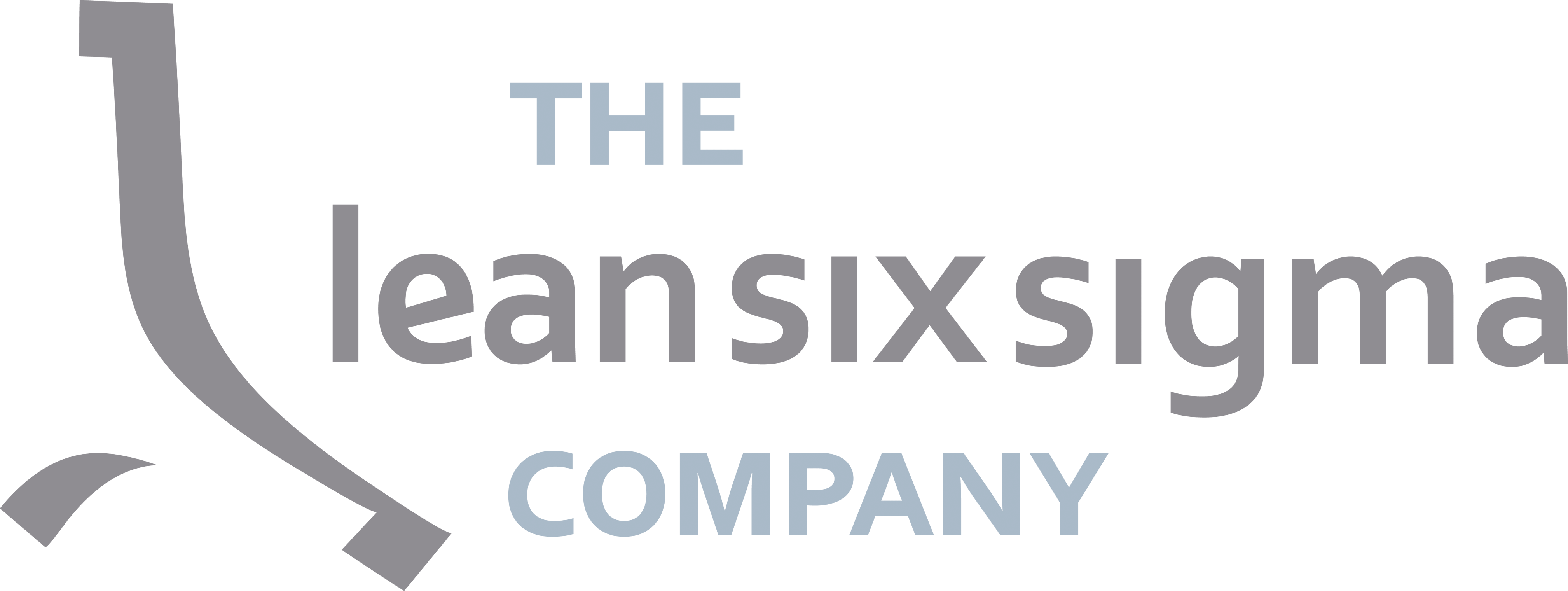 The Lean Six Sigma Company España